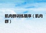 肌肉群训练顺序（肌肉群）