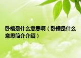 卧槽是什么意思啊（卧槽是什么意思简介介绍）