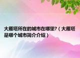 大雁塔所在的城市在哪里?（大雁塔是哪个城市简介介绍）