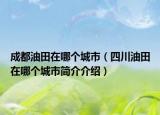 成都油田在哪个城市（四川油田在哪个城市简介介绍）