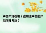 芦荟产地在哪（谁知道芦荟的产地简介介绍）