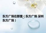 东方广场在那里（东方广场 深圳东方广场）