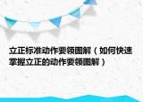 立正标准动作要领图解（如何快速掌握立正的动作要领图解）