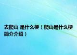 去爬山 是什么梗（爬山是什么梗简介介绍）