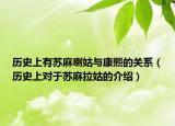 历史上有苏麻喇姑与康熙的关系（历史上对于苏麻拉姑的介绍）