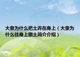 大象为什么把土弄在身上（大象为什么往身上撒土简介介绍）