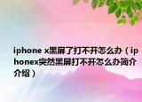 iphone x黑屏了打不开怎么办（iphonex突然黑屏打不开怎么办简介介绍）