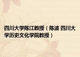 四川大学陈江教授（陈波 四川大学历史文化学院教授）