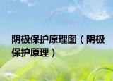 阴极保护原理图（阴极保护原理）