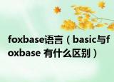 foxbase语言（basic与foxbase 有什么区别）