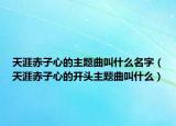 天涯赤子心的主题曲叫什么名字（天涯赤子心的开头主题曲叫什么）