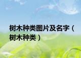 树木种类图片及名字（树木种类）