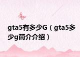 gta5有多少G（gta5多少g简介介绍）