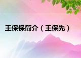 王保保简介（王保先）