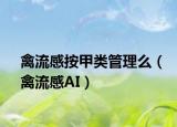 禽流感按甲类管理么（禽流感AI）