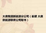 大唐集团新能源分公司（崔健 大唐新能源联席公司秘书）