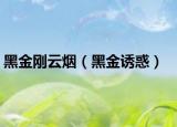 黑金刚云烟（黑金诱惑）