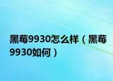 黑莓9930怎么样（黑莓9930如何）