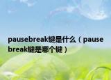 pausebreak键是什么（pausebreak键是哪个键）