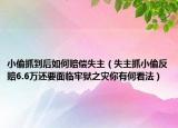 小偷抓到后如何赔偿失主（失主抓小偷反赔6.6万还要面临牢狱之灾你有何看法）
