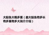大鲸鱼大概多重（最大鲸鱼有多长有多重有多大简介介绍）