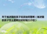 对于叛逆期的孩子应该如何管教（叛逆期的孩子怎么管教比较好简介介绍）