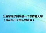 公主家莲子到底是一个怎样的大咖（莲花小王子的人物背景）
