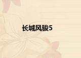 长城风骏5