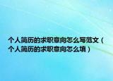 个人简历的求职意向怎么写范文（个人简历的求职意向怎么填）