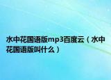 水中花国语版mp3百度云（水中花国语版叫什么）