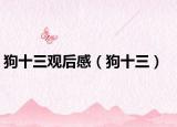 狗十三观后感（狗十三）