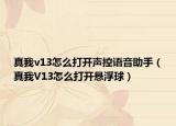 真我v13怎么打开声控语音助手（真我V13怎么打开悬浮球）