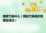 国家竹藤中心（国际竹藤组织有哪些情况）