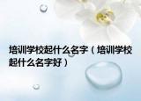 培训学校起什么名字（培训学校起什么名字好）