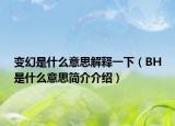 变幻是什么意思解释一下（BH是什么意思简介介绍）