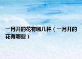 一月开的花有哪几种（一月开的花有哪些）