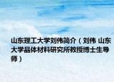 山东理工大学刘伟简介（刘伟 山东大学晶体材料研究所教授博士生导师）