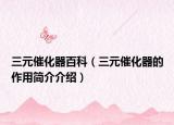 三元催化器百科（三元催化器的作用简介介绍）