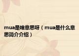mua是啥意思呀（mua是什么意思简介介绍）