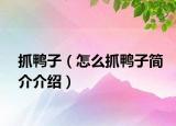 抓鸭子（怎么抓鸭子简介介绍）