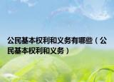 公民基本权利和义务有哪些（公民基本权利和义务）