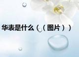 华表是什么（（图片））