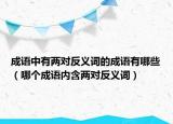成语中有两对反义词的成语有哪些（哪个成语内含两对反义词）