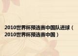 2010世界杯预选赛中国队进球（2010世界杯预选赛中国）