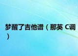 梦醒了吉他谱（那英 C调）