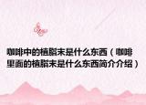 咖啡中的植脂末是什么东西（咖啡里面的植脂末是什么东西简介介绍）
