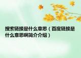 搜索链接是什么意思（百度链接是什么意思啊简介介绍）