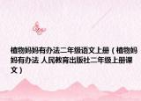 植物妈妈有办法二年级语文上册（植物妈妈有办法 人民教育出版社二年级上册课文）
