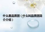 什么是品质团（什么叫品质团简介介绍）