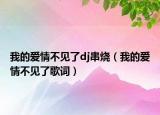 我的爱情不见了dj串烧（我的爱情不见了歌词）